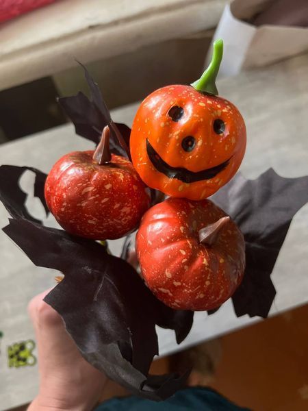 Декоративная ветвь Halloween 32см X5110 фото